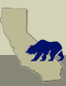 California State Bear